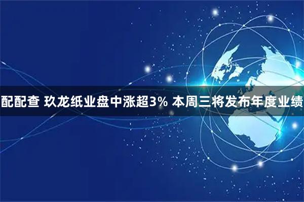 配配查 玖龙纸业盘中涨超3% 本周三将发布年度业绩