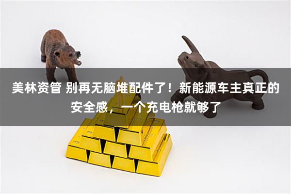 美林资管 别再无脑堆配件了！新能源车主真正的安全感，一个充电枪就够了