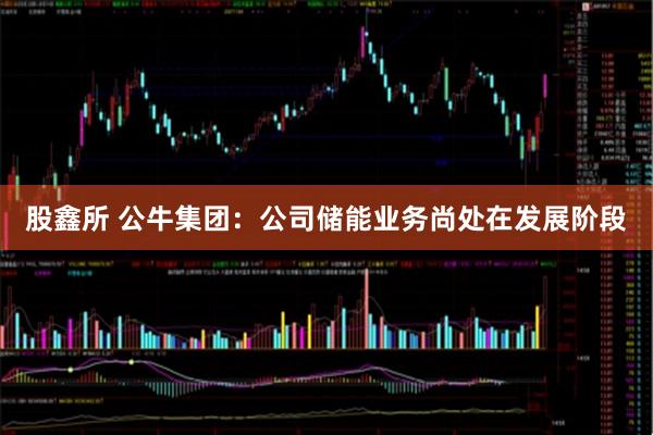 股鑫所 公牛集团：公司储能业务尚处在发展阶段