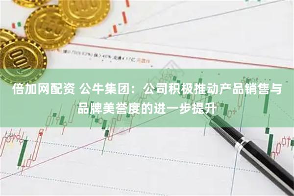 倍加网配资 公牛集团：公司积极推动产品销售与品牌美誉度的进一步提升