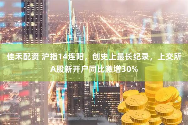 佳禾配资 沪指14连阳,创史上最长纪录,上交所A股新开户同比激增30%