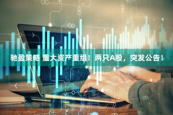 驰盈策略 重大资产重组！两只A股，突发公告！