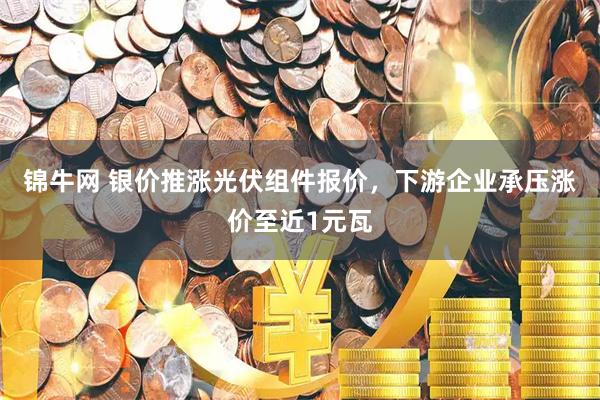 锦牛网 银价推涨光伏组件报价，下游企业承压涨价至近1元瓦