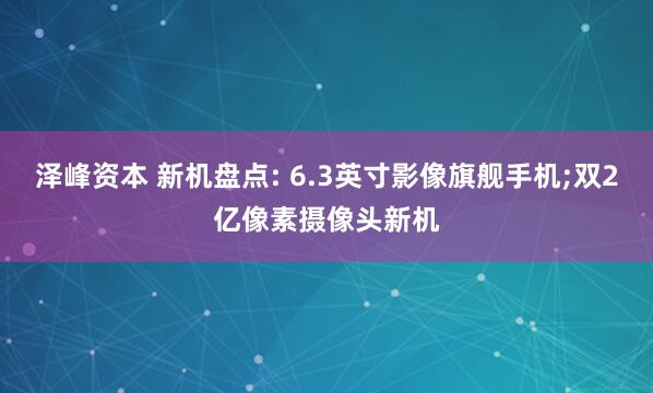 泽峰资本 新机盘点: 6.3英寸影像旗舰手机;双2亿像素摄像头新机