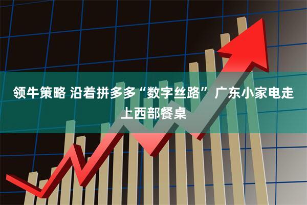 领牛策略 沿着拼多多“数字丝路” 广东小家电走上西部餐桌