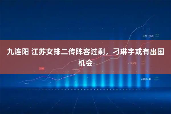 九连阳 江苏女排二传阵容过剩，刁琳宇或有出国机会